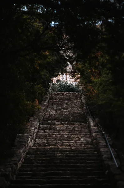 Μια Κάθετη Λήψη Των Σκαλιών Που Περιβάλλεται Από Δέντρα — Φωτογραφία Αρχείου