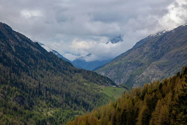 Felhős Magas Hegyek Felett Tűlevelű Erdőkkel Rétek Csúcsok — Stock Fotó