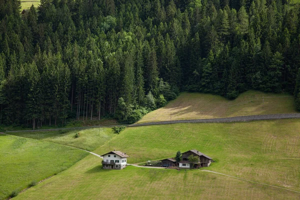 針葉樹林 牧草地 ピークの高い山の中の農村住宅 — ストック写真