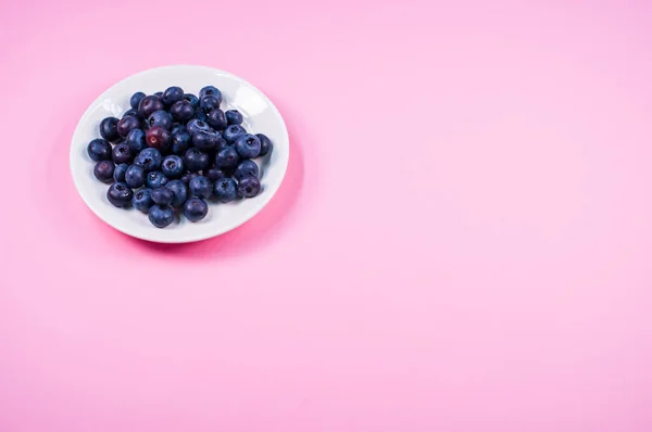 Bleuets Biologiques Frais Sur Une Assiette Blanche Avec Fond Rose — Photo