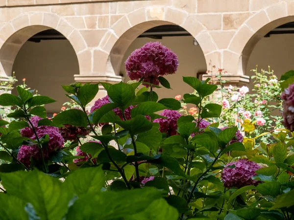 Gros Plan Jardin Avec Des Plantes Des Fleurs Devant Bâtiment — Photo