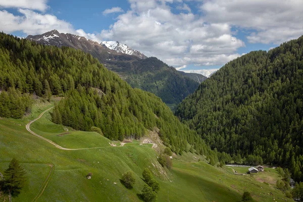 Villaggio Nelle Alpi Tra Boschi Sullo Sfondo Delle Cime Delle — Foto Stock