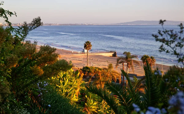 ロサンゼルスのカリフォルニアビーチの夕日にヤシの木があるビーチの景色 — ストック写真
