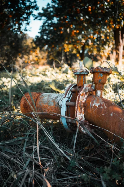 Tiro Vertical Waterpipe Entre Plantas Jardim — Fotografia de Stock