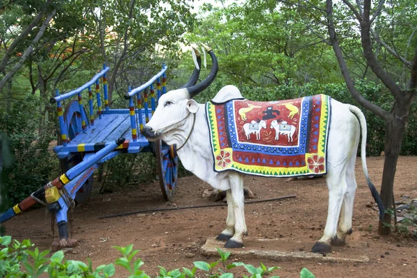 Alamatti India August 2012 Blue Painted Cart White Bullock Embroidered — 图库照片