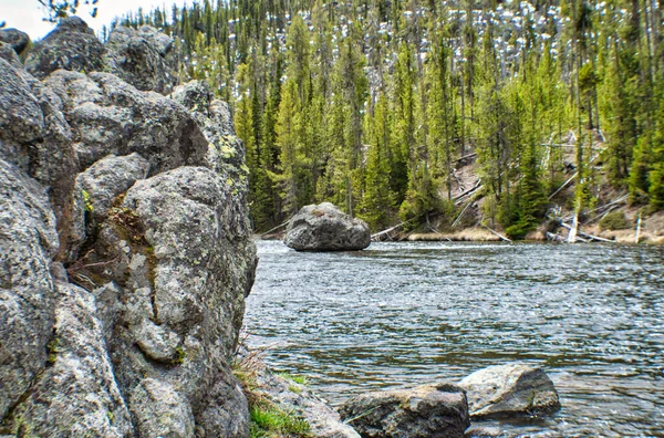 Une Rivière Qui Coule Par Une Falaise Une Forêt Clairsemée — Photo