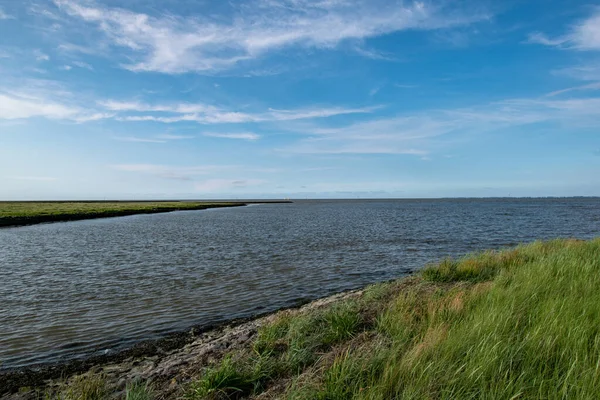 Ein Schöner Blick Auf Einen Kleinen Fluss Umgeben Von Grün — Stockfoto