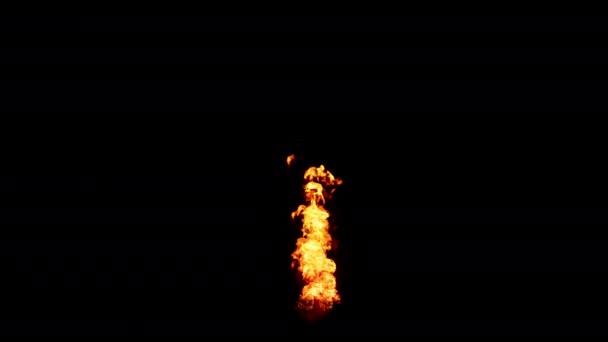 Огонь Пламя Черном Фоне — стоковое видео