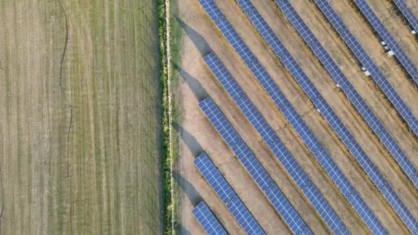 阳光明媚的时候 农村田里的太阳能电池板 — 图库视频影像