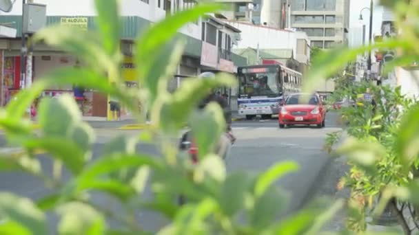 Séquences Urbaines Personnes Dans Rue Ville — Video