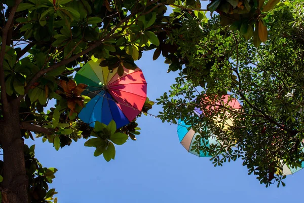 Plan Angle Bas Parapluies Colorés Parmi Les Arbres Avec Ciel — Photo