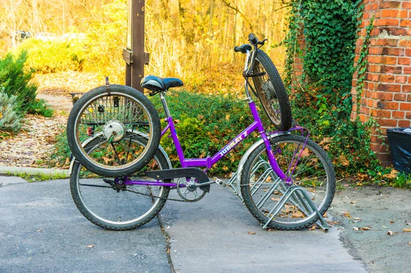 Poznan Polónia Agosto 2021 Uma Pequena Bicicleta Trancada Floresta Debinski — Fotografia de Stock