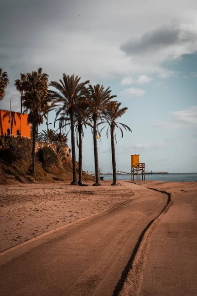 Colpo Verticale Una Spiaggia Con Palme Malaga Benalmadena Spagna — Foto Stock