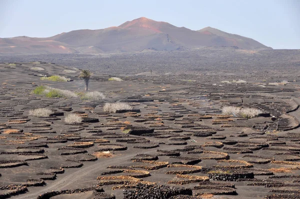 Barren Ηφαιστειακό Τοπίο Του Ισπανικού Καναρινιού Νησιού Lanzarote — Φωτογραφία Αρχείου