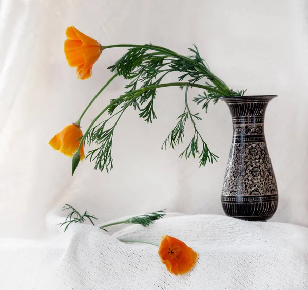 Gros Plan Des Belles Fleurs Pavot Californie Dans Vase Décoratif — Photo