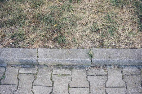 乾燥した草で地面の近くの石のパスの高角度ショット — ストック写真