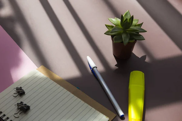 Vue Dessus Carnet Surligneur Stylo Une Plante Sur Fond Rose — Photo