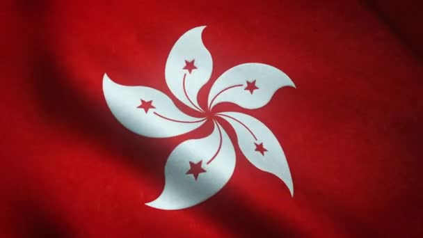 Waving Flag Hong Kong Close — Stock Video