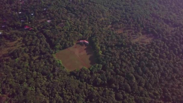 Vanuit Lucht Uitzicht Het Bos Rivier Ochtend — Stockvideo