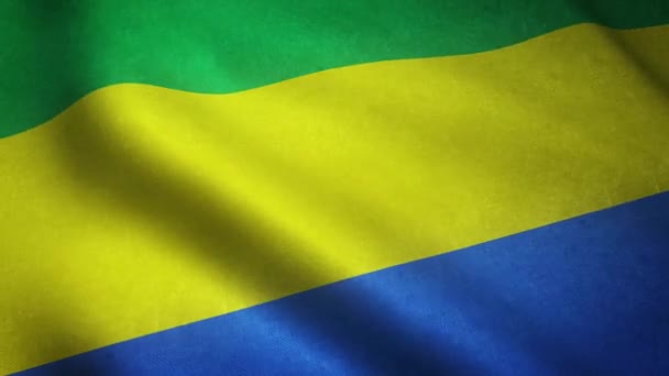 Gabon Bayrağını Sallayarak Yaklaş — Stok video