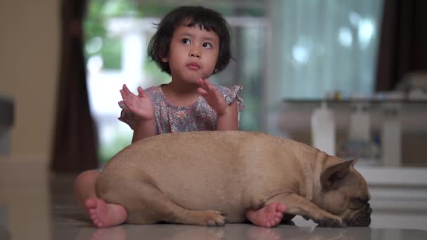 Söt Liten Asiatisk Flicka Med Hund Rummet — Stockvideo