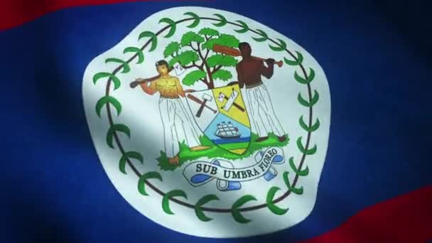 Mávání Vlajkou Belize Zblízka — Stock video