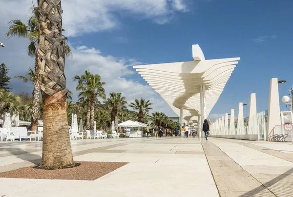 Malaga Spain Mar 2021 Tourists Walking Palm Grove Surprises Malaga — Stock Photo, Image