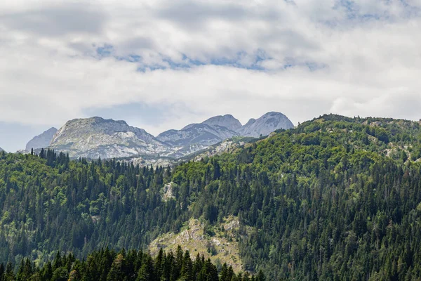 Die Schöne Crvena Greda Durmirtor Montenegro — Stockfoto