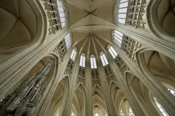 Leuven België Aug 2021 Het Interieur Van Sint Pieterskerk Een — Stockfoto