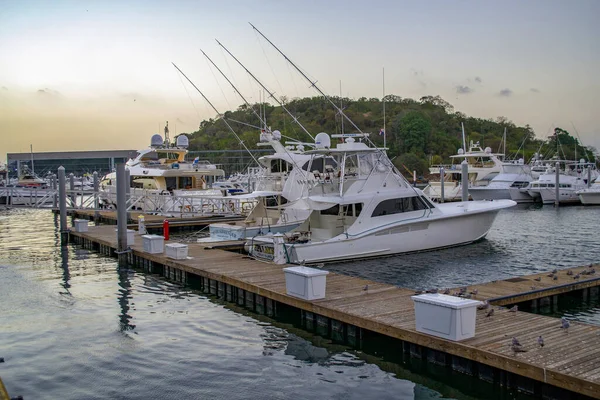 Panamá Panamá Agosto 2021 Yates Barcos Calzada Amador Yacht Marina — Foto de Stock
