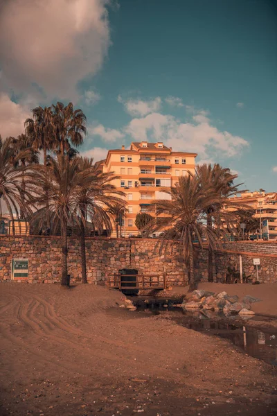 Vue Verticale Une Plage Avec Palmiers Malaga Benalmadena Espagne — Photo