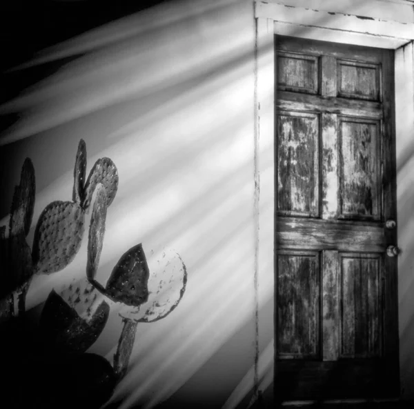 Duvarında Çizimler Olan Eski Bir Kapının Monokrom Görüntüsü Içinden Geçen — Stok fotoğraf