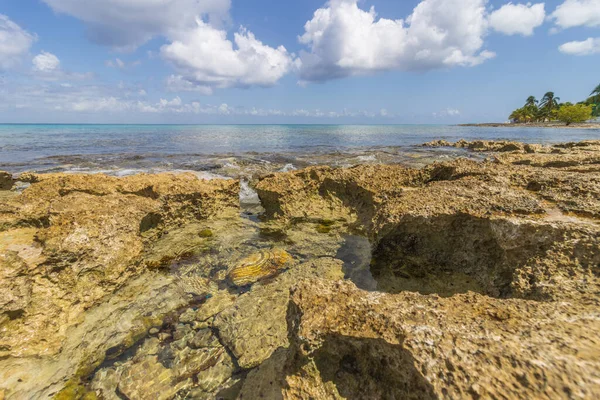 Utsikten Över Havet Från Den Klippiga Stranden Cozumel Quintana Roo — Stockfoto