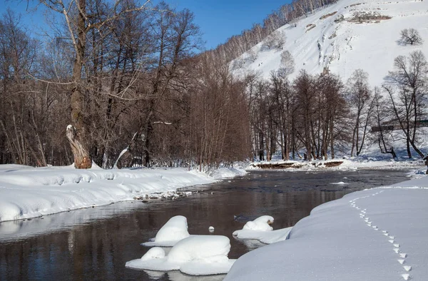 Ein Fließender Fluss Umgeben Von Schnee Und Ausgetrockneten Bäumen Park — Stockfoto