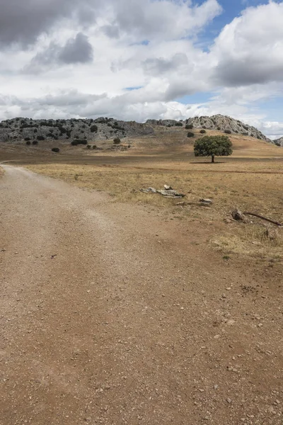 Pionowe Ujęcie Nieutwardzonej Drogi Przez Ronda Road Andaluzji Hiszpania — Zdjęcie stockowe