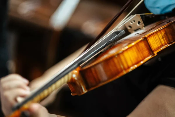 Primo Piano Violinista Che Suona Violino Concentrarsi Sul Violino — Foto Stock