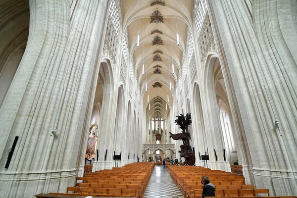 Leuven Belgium Ağustos 2021 Saint Peter Kilisesi Yüzyılda Brabantine Gotik — Stok fotoğraf