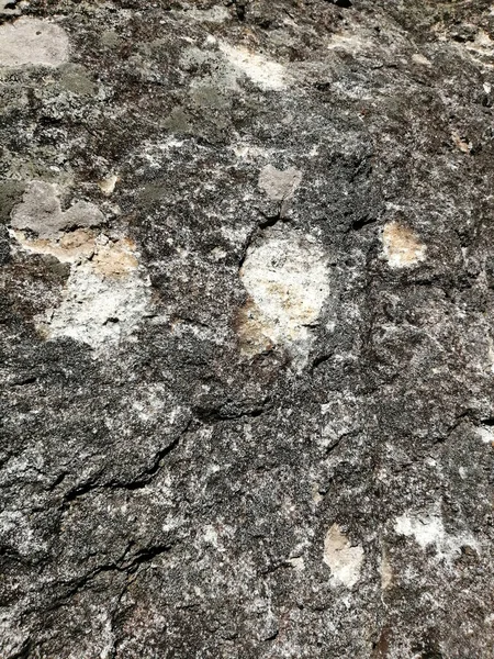 Primer Plano Una Piedra — Foto de Stock