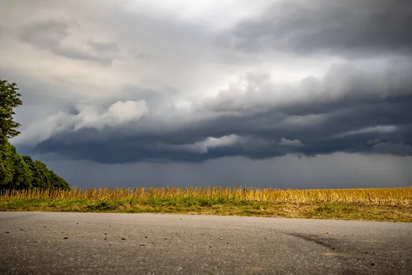 Een Gedroogd Veld Met Donkere Bewolkte Lucht Eroverheen — Stockfoto