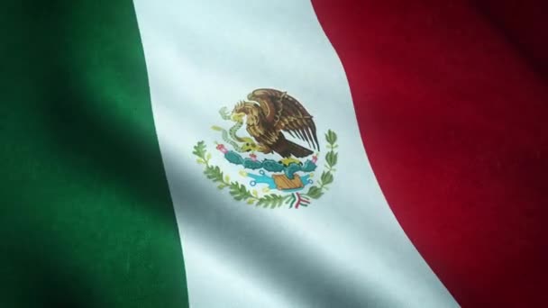 Viftande Flagga Mexikos Närbild — Stockvideo