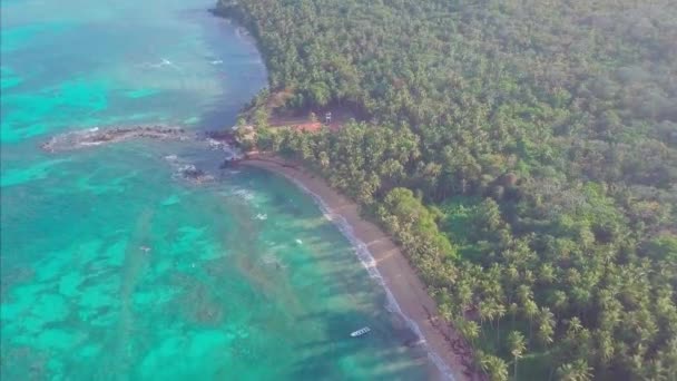 Flygfoto Över Havet Och Stranden — Stockvideo