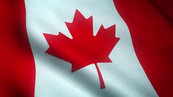 Agitant Drapeau Canada Gros Plan — Video