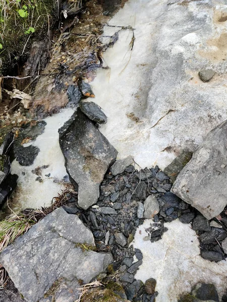 Zblízka Záběr Země Kameny Lofotenských Ostrovech Norsko — Stock fotografie