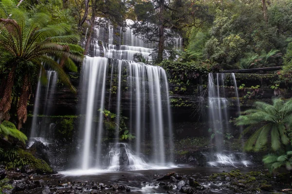 Russell Falls Com Longa Exposição Cercada Por Vegetação Tasmânia Austrália — Fotografia de Stock
