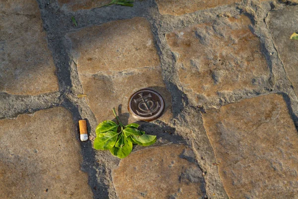 On the cobblestones is the copper city logo with a discarded cigarette butt and a sprig of basil next to it.