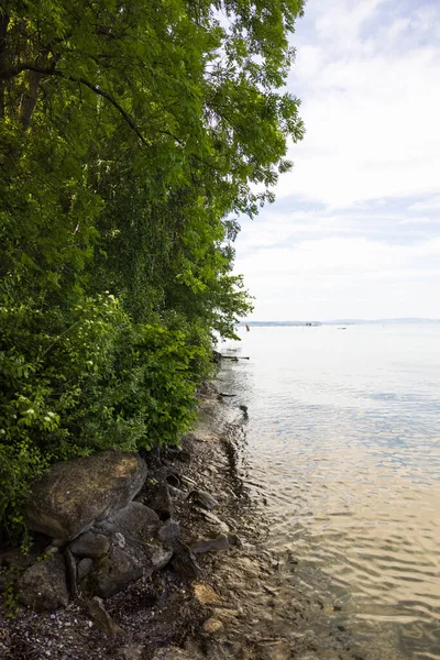 Disparo Vertical Orilla Bodensee Suiza —  Fotos de Stock