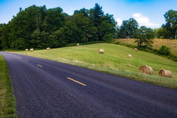 Het Hooiveld Bij Blue Ridge Parkway — Stockfoto