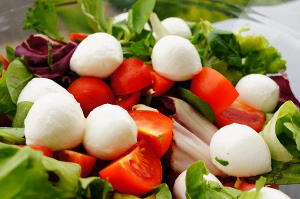 Salada Alface Fresca Tomate Queijo Mussarela Uma Tigela — Fotografia de Stock