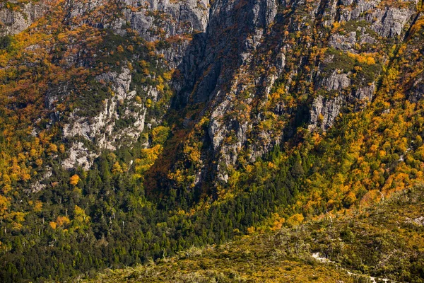 Скалистая Гора Покрытая Буковым Лесом Красивых Осенних Цветах — стоковое фото