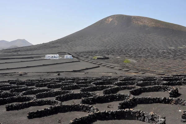 Paisaje Volcánico Árido Isla Canaria Española Lanzarote — Foto de Stock